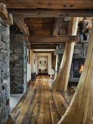 elk ridge lodge
